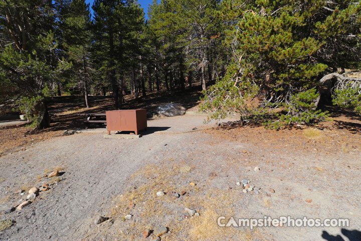 Junction Campground 004