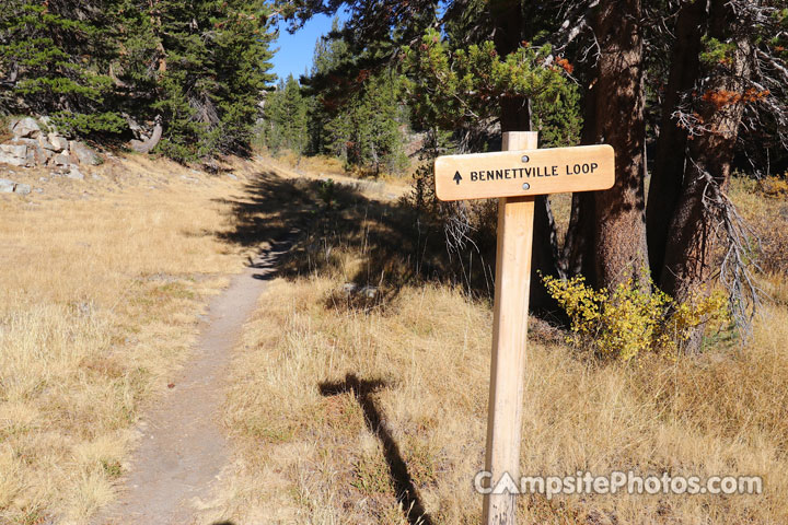 Junction Campground Bennettville Loop Trail