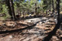 Junction Campground 011