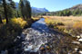 Junction Campground Mine Creek