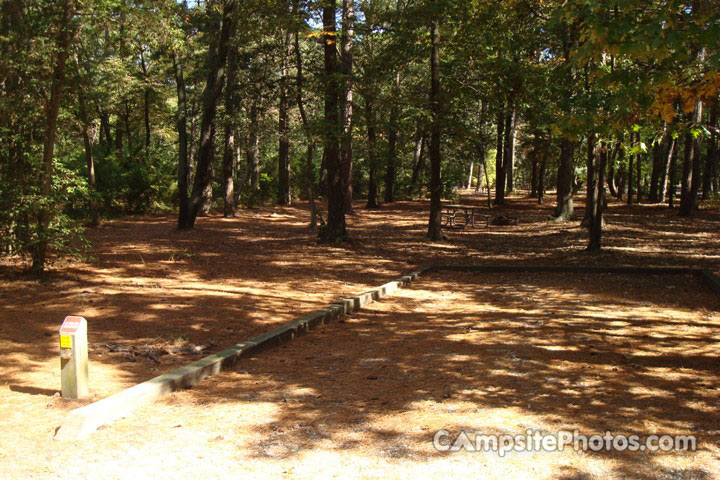 Kiptopeke State Park F012