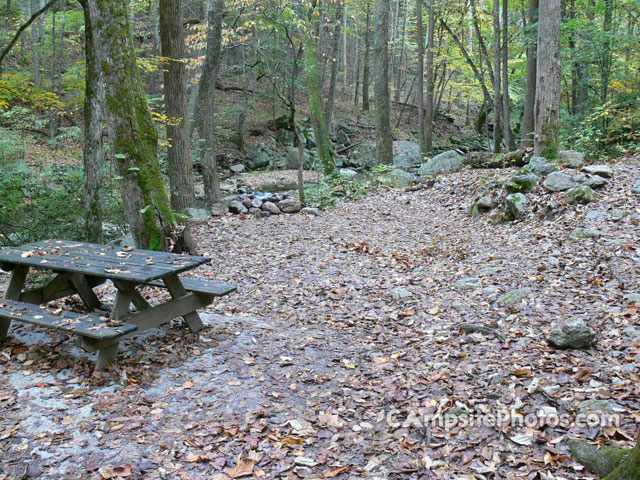 Crabtree Falls 026