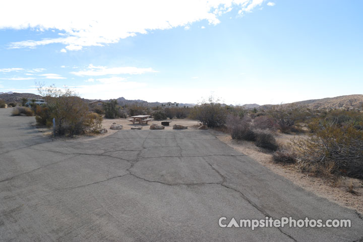 Joshua Tree National Park Cottonwood A028