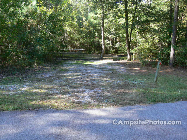 Merchants Millpond State Park 005