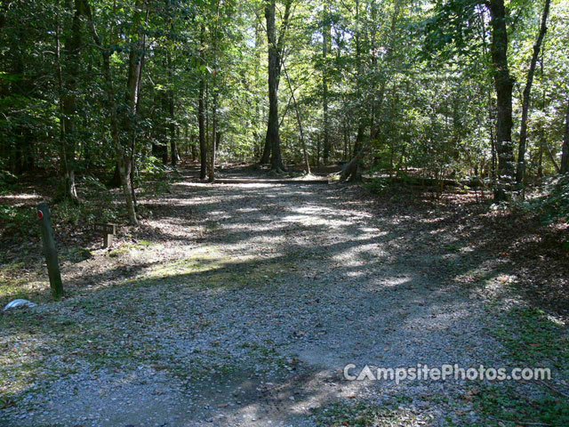 Merchants Millpond State Park 020