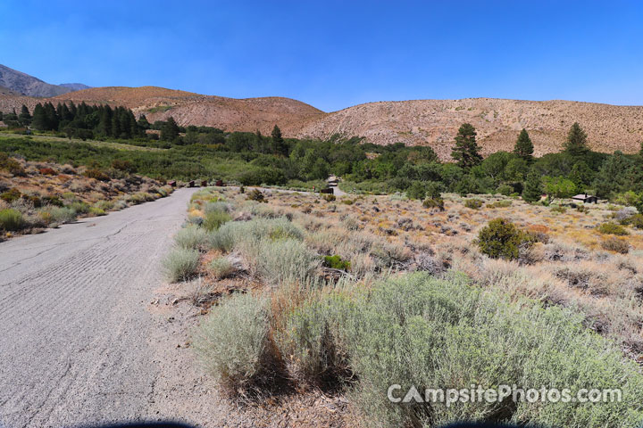 Upper Grays Meadow Campground View