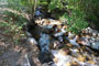 Upper Grays Meadow Campground Independence Creek View