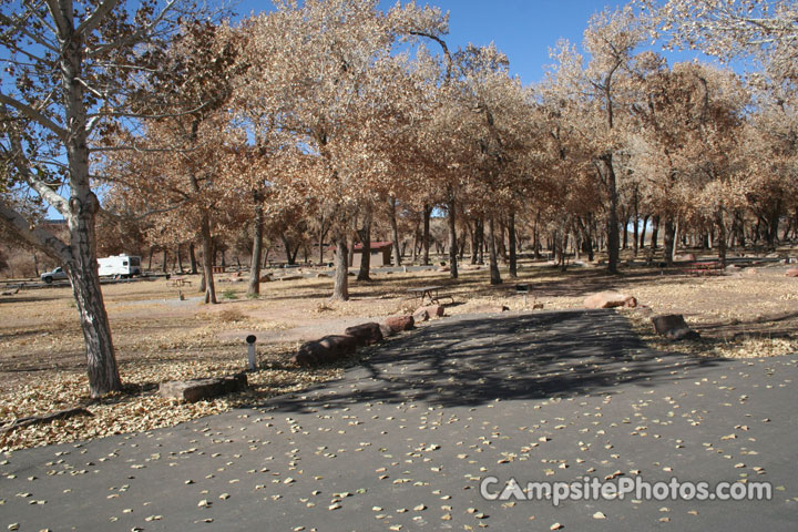 Canyon De Chelly Cottonwood 001