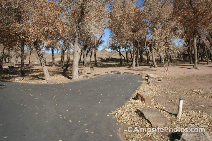 Canyon De Chelly Cottonwood 002