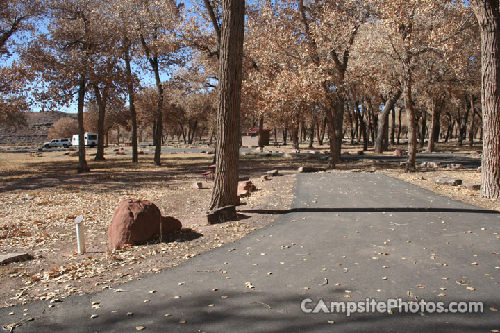 Canyon De Chelly Cottonwood 003