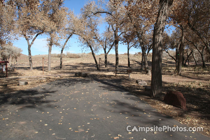 Canyon De Chelly Cottonwood 004