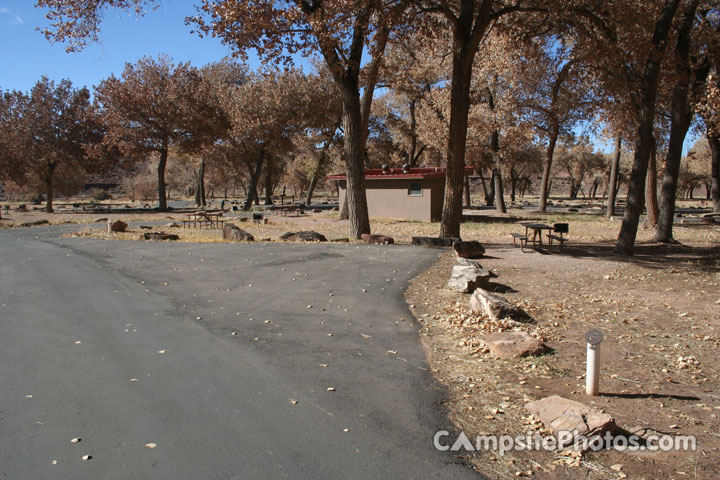 Canyon De Chelly Cottonwood 006