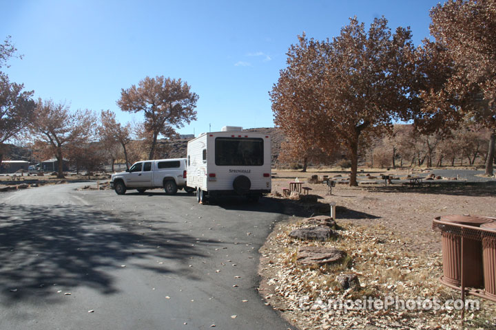 Canyon De Chelly Cottonwood 009