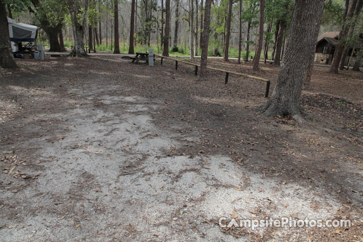 Highlands Hammock 014