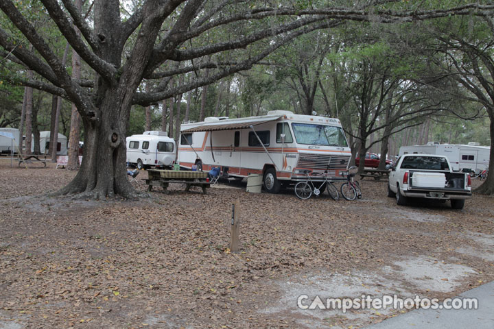 Highlands Hammock 110