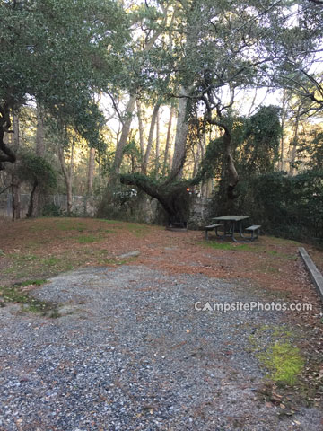 First Landing State Park 119