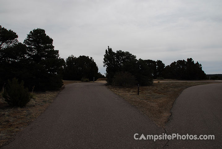 Lathrop State Park 063