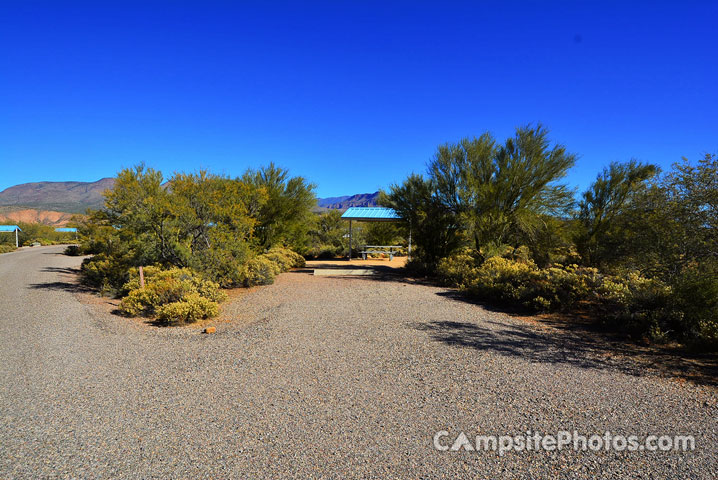 Cholla 061