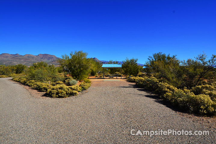 Cholla 063