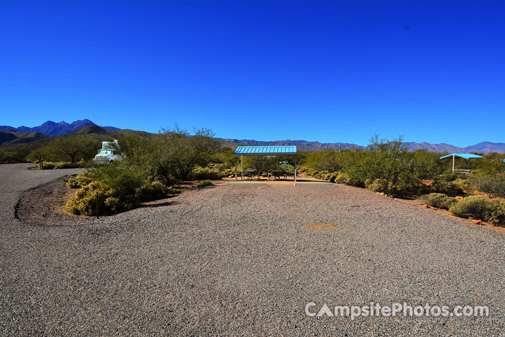 Cholla 080