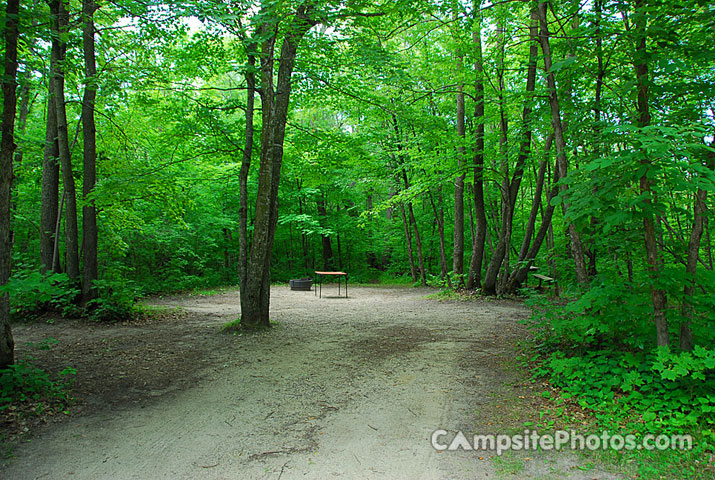 Maplewood State Park 041