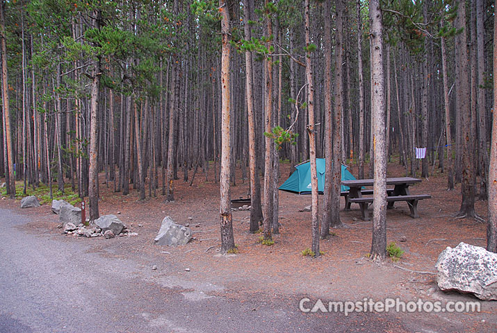 Yellowstone National Park Canyon 099