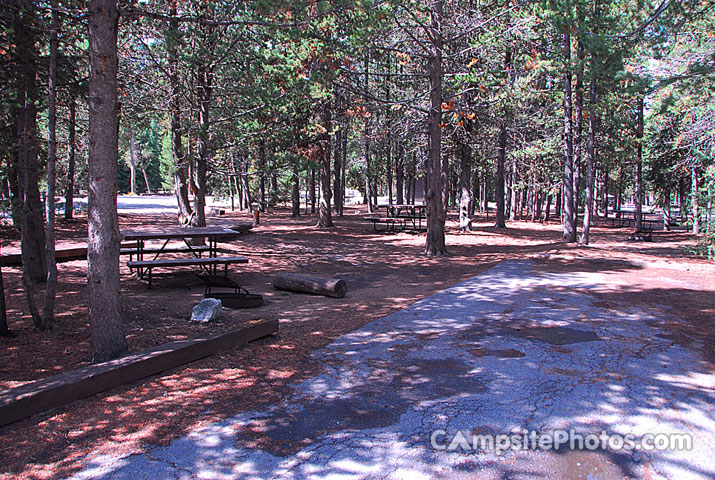 Yellowstone National Park Grant Village 173