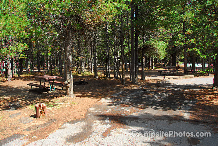 Yellowstone National Park Grant Village 239