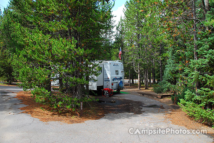 Yellowstone National Park Grant Village 265