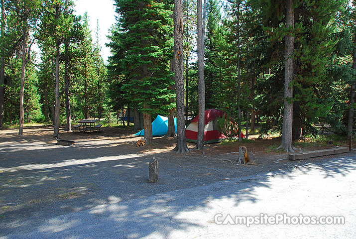 Yellowstone National Park Grant Village 366