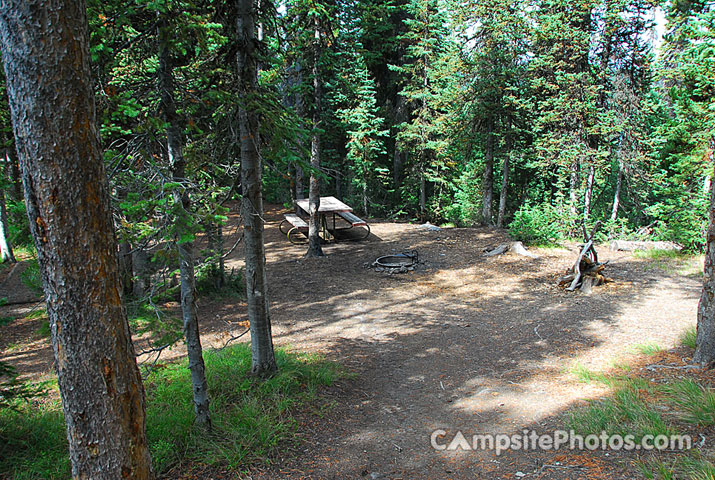 Yellowstone National Park Lewis Lake 014