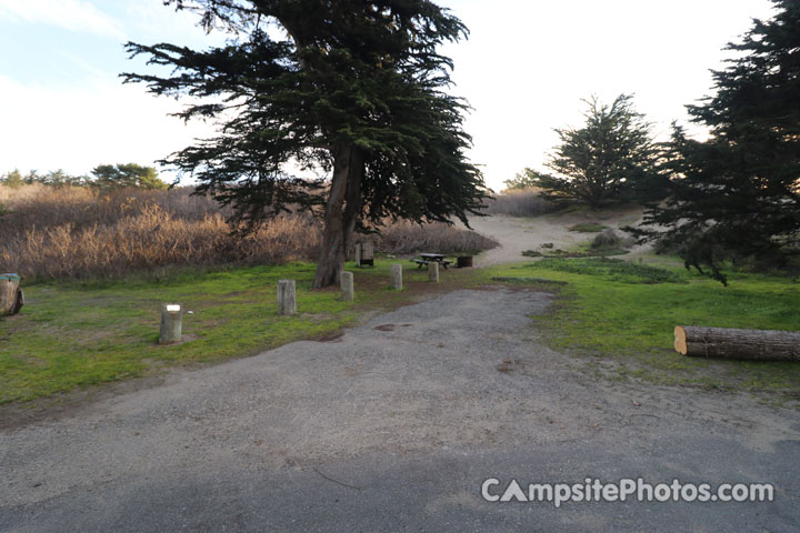 Bodega Dunes 027