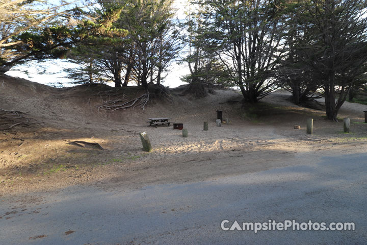 Bodega Dunes 034