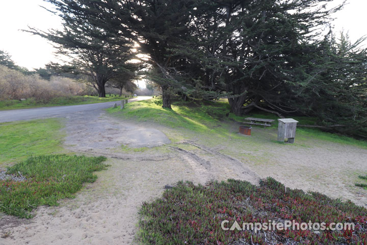 Bodega Dunes 064