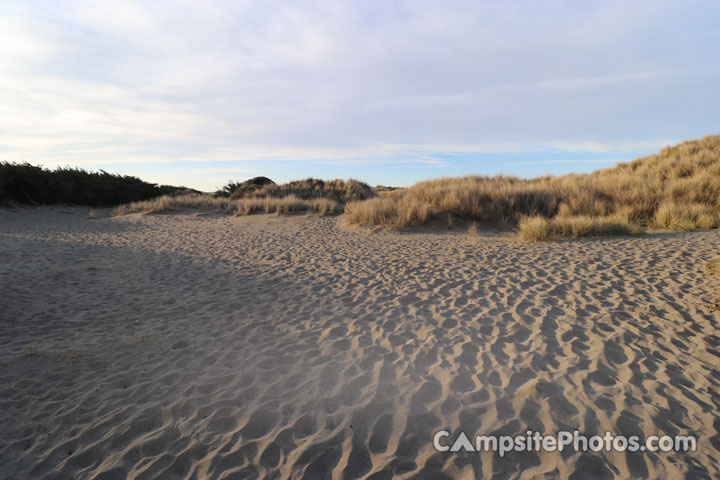 Bodega Dunes Dunes View