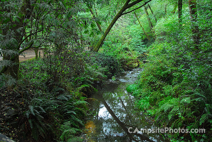 Van Damme Creek