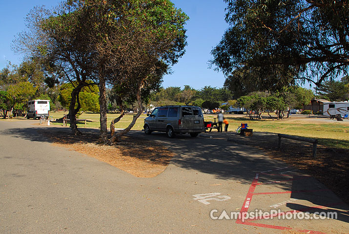 Pismo State Beach North Beach - Campsite Photos, Availability Alerts