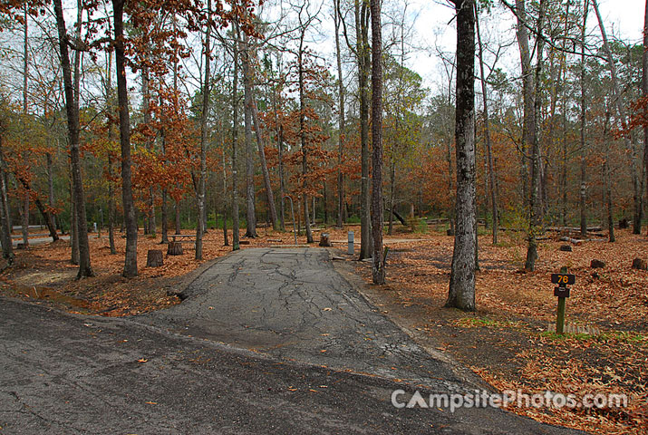 Lake Livingston 076