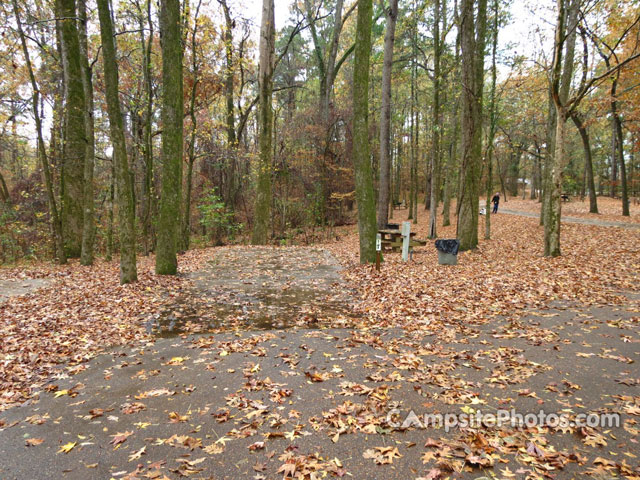 Natchez State Park 017