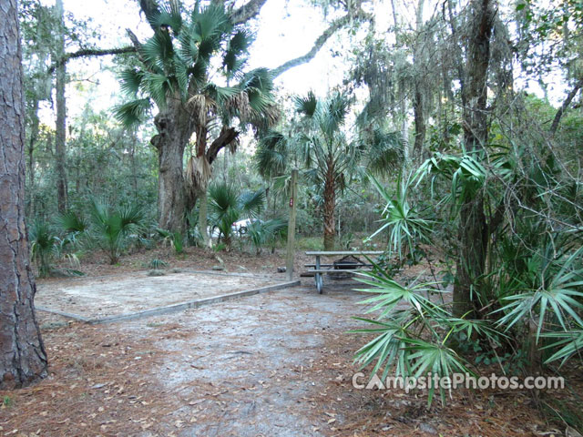 Paynes Prairie State Preserve 028