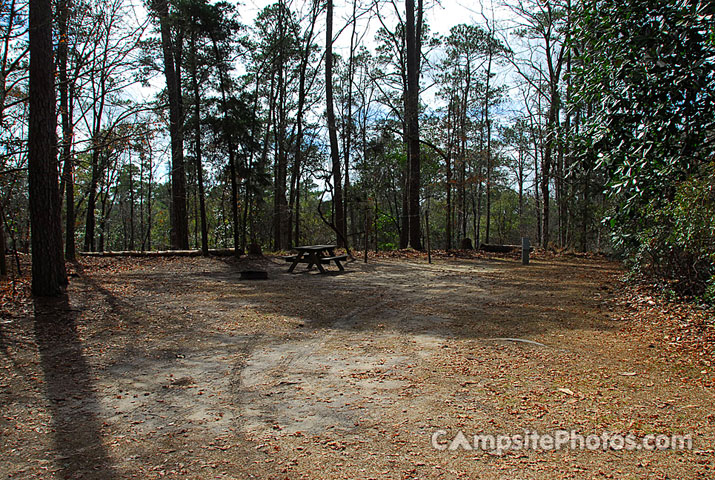 Torreya State Park 030