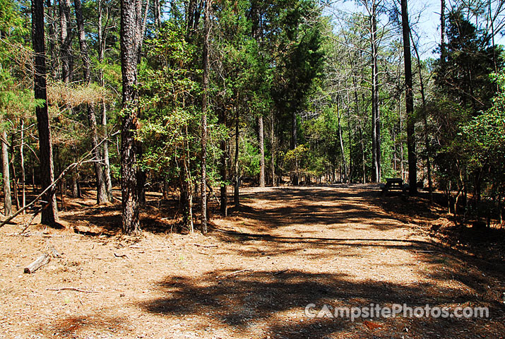 Hamilton Branch State Park 165