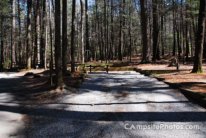 Vogel State Park 083