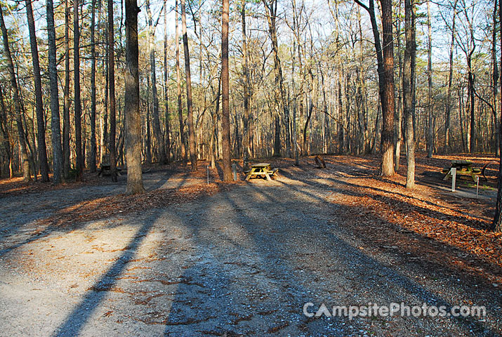 Kings Mountain State Park 081