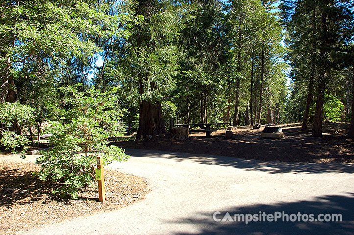 Dogwood - Campsite Photos, Camping Info & Reservations