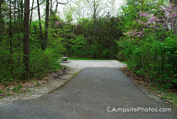 Gifford Pinchot State Park 182