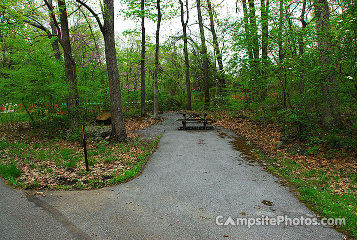 Gifford Pinchot State Park 199