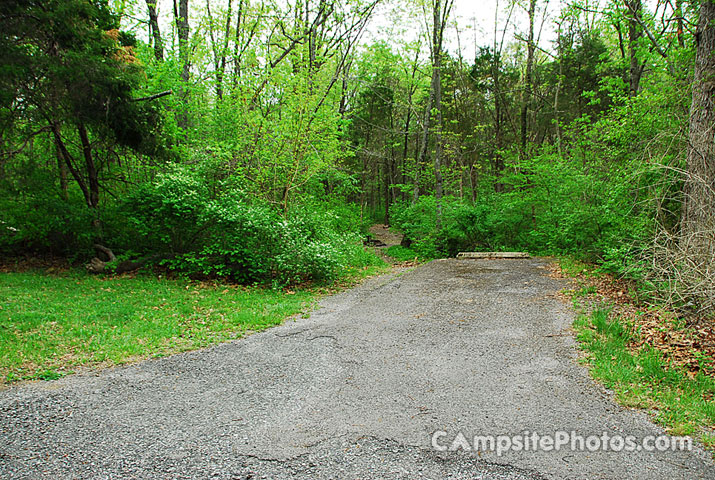 Gifford Pinchot State Park 220