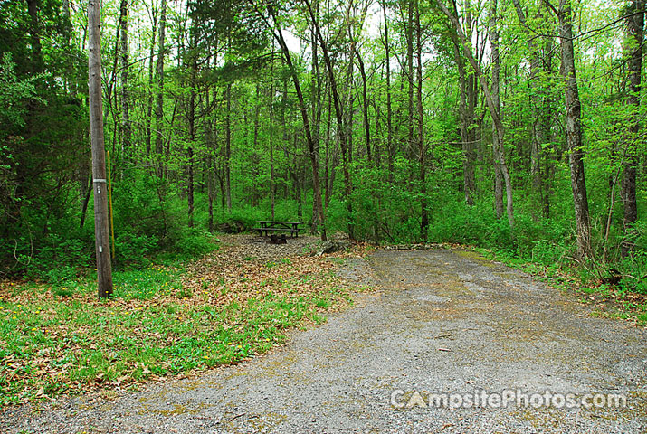 Gifford Pinchot State Park 223