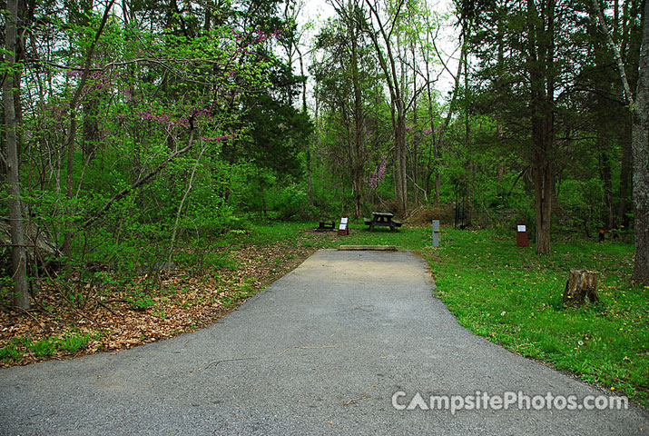 Gifford Pinchot State Park 286